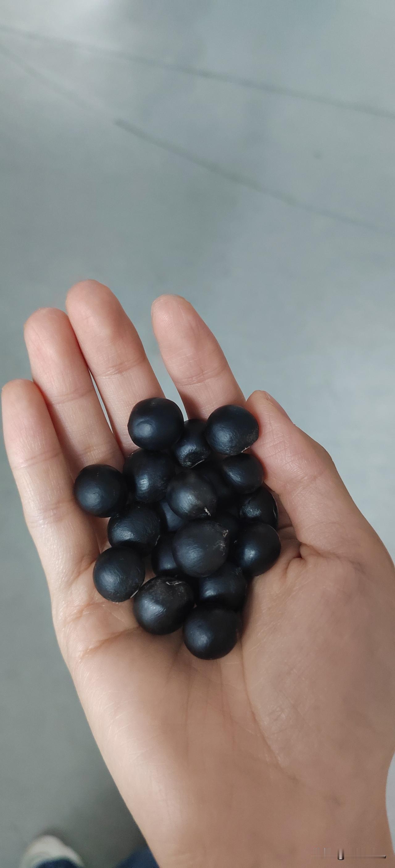 家人们，有谁知道这是什么？听说可以做成手串。