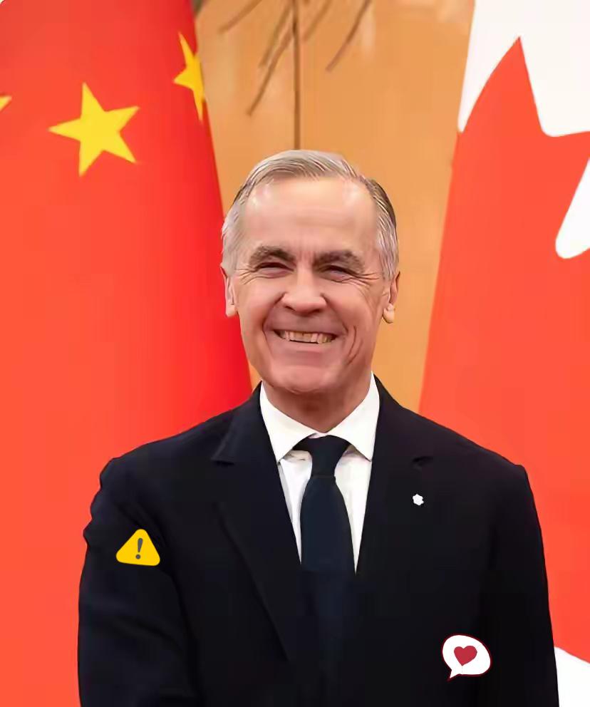 加拿大忙活了半天，终于解决了自己制造的麻烦。同意4.9万辆中国电动汽车进入加拿大