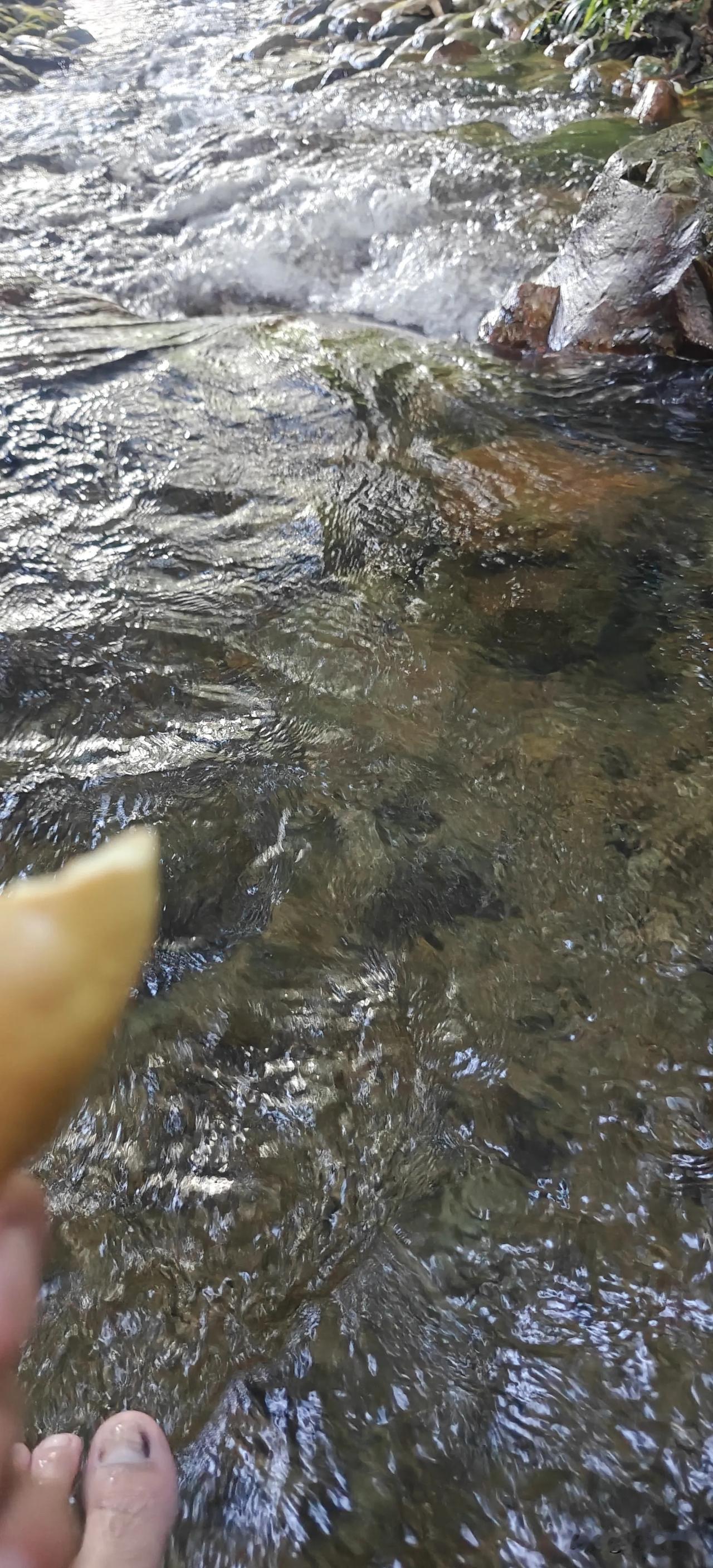 夏日生活打卡季夏天玩水是标配水，里面才能自由自在快乐的