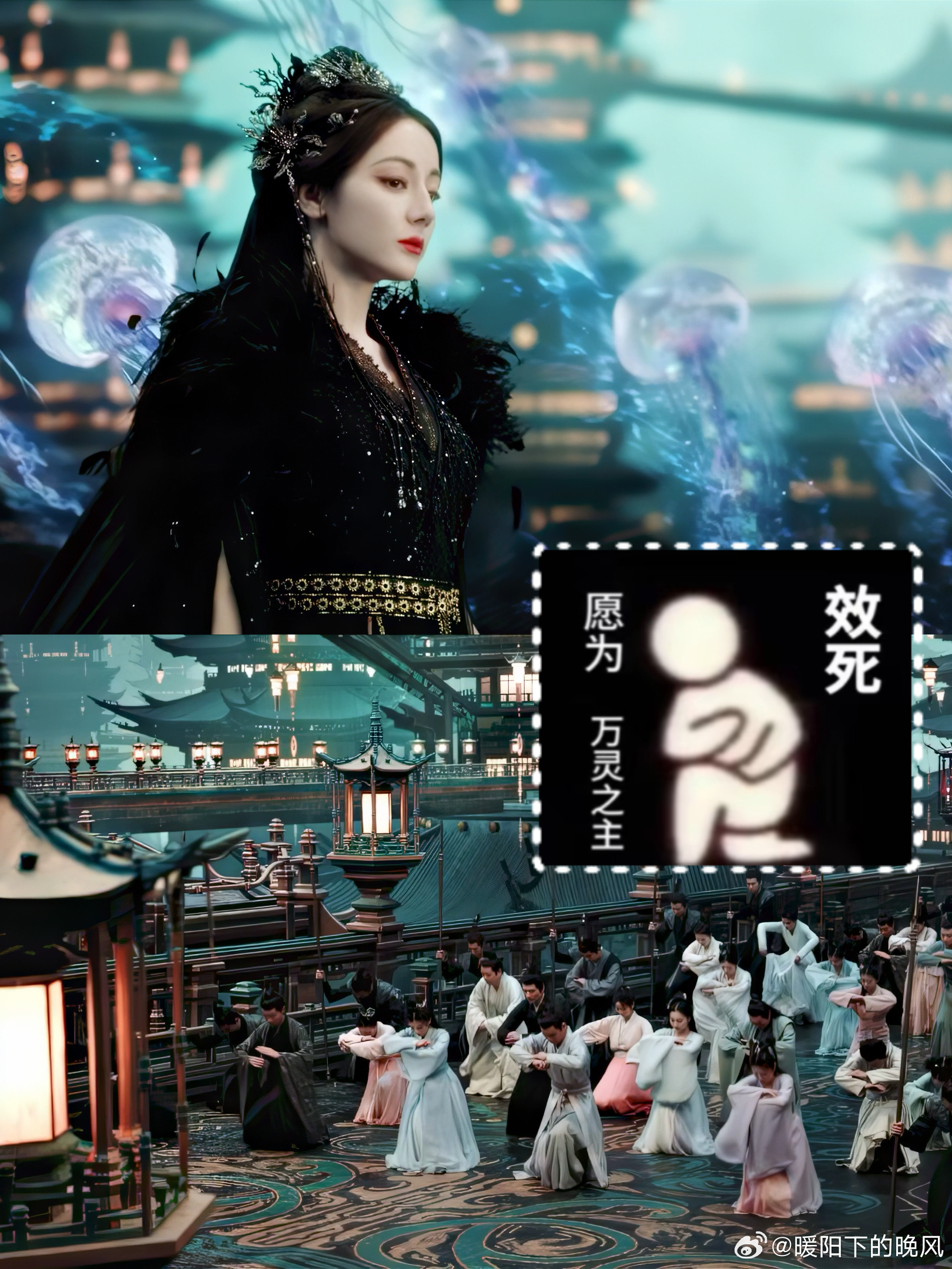 白日提灯长在梗上吗谁能想到白日提灯给我们带来了这么多惊喜，而且还是未播先火，看见