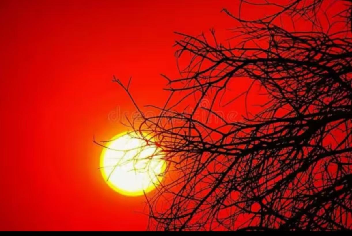 04

1954年，哈军工初具规模，他的心绞痛就已经频繁发作。医生一再叮嘱他减少