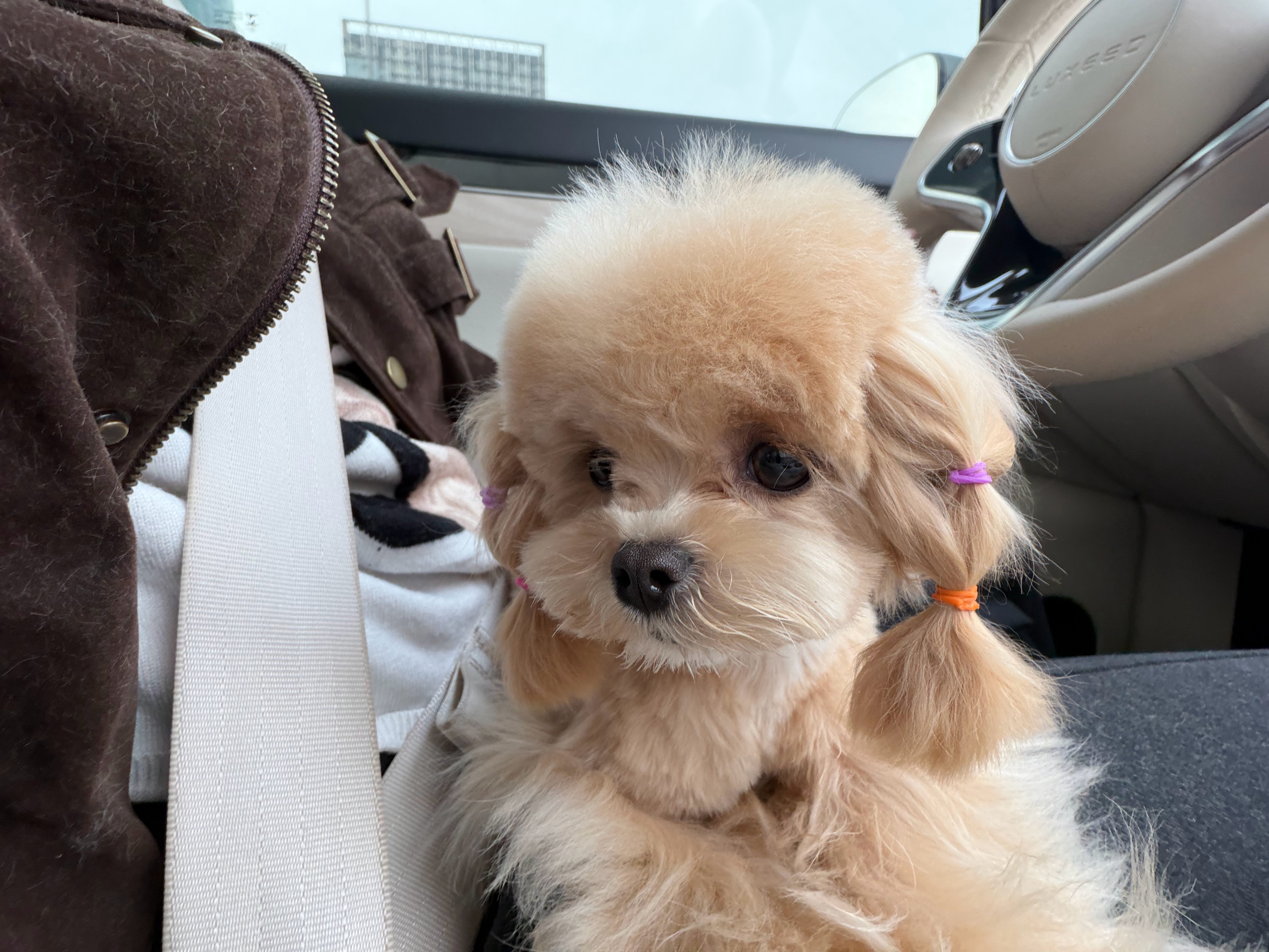 这谁能忍住不发9图呀！ 