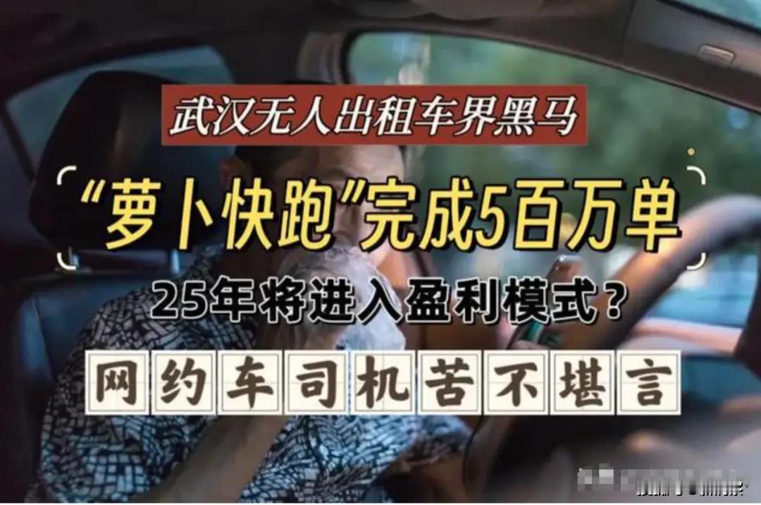 低价补贴、全天候接单和自动驾驶，让萝卜快跑在武汉迅速获得关注，也把出租车司机的就
