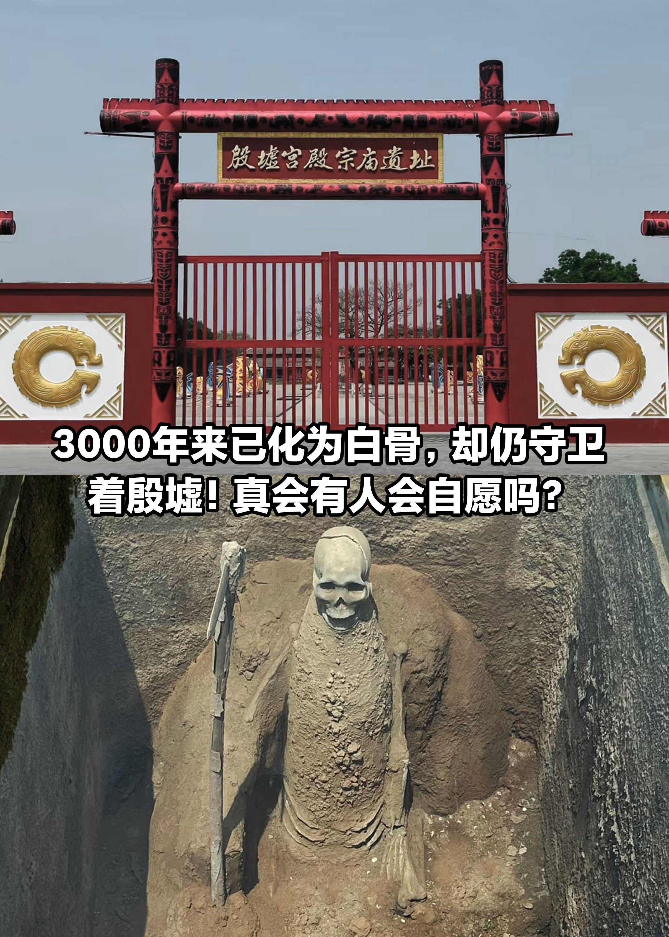 3000年来，已化为白骨，却仍守卫着殷墟。