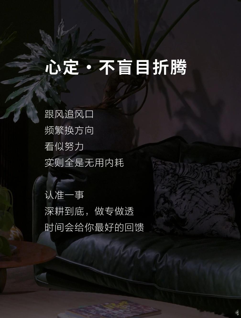 聚焦，笃定 