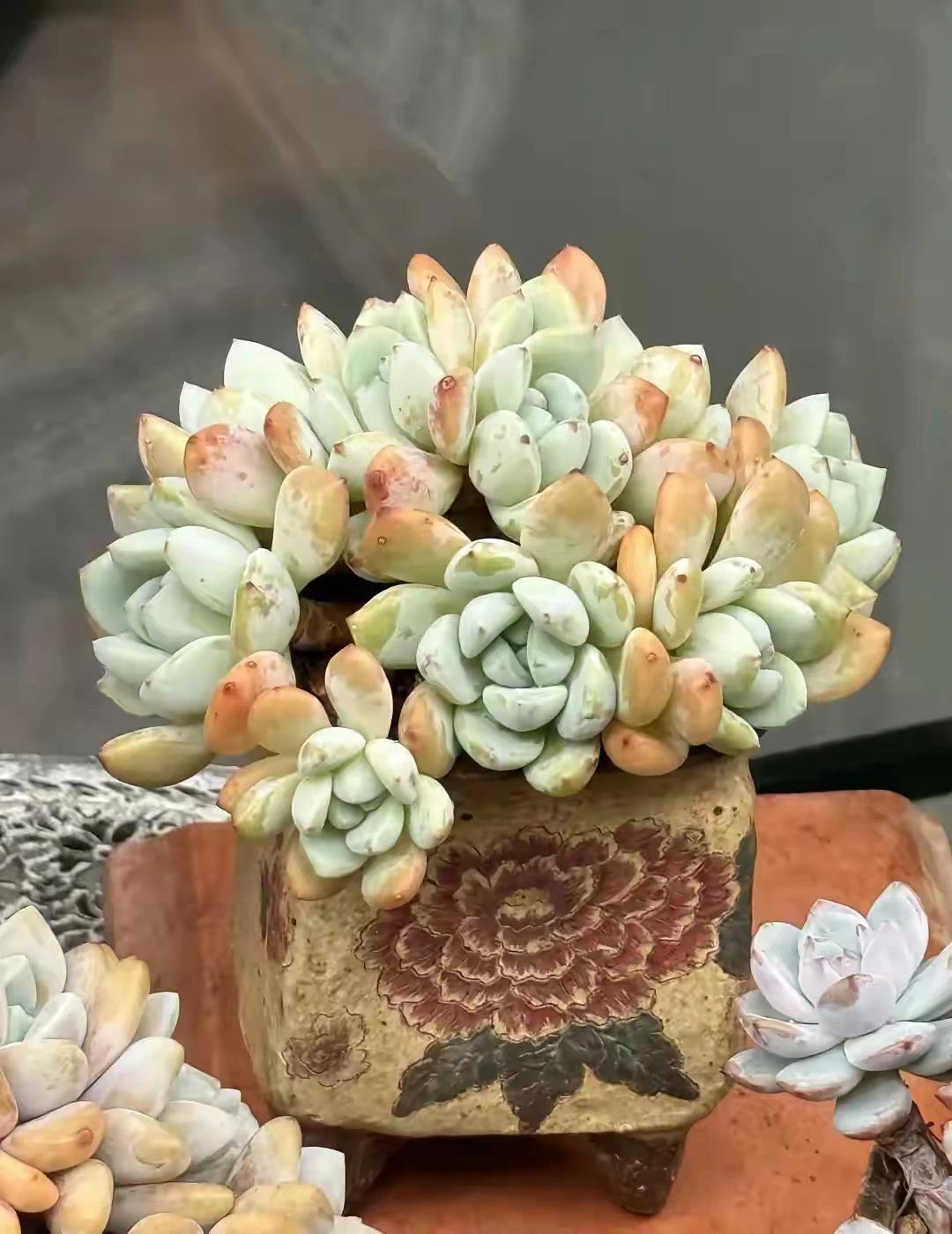 如果我有无限资金，我绝对会买恒瑞医药。但话又说回来了，如果我有无限资金，我还买什