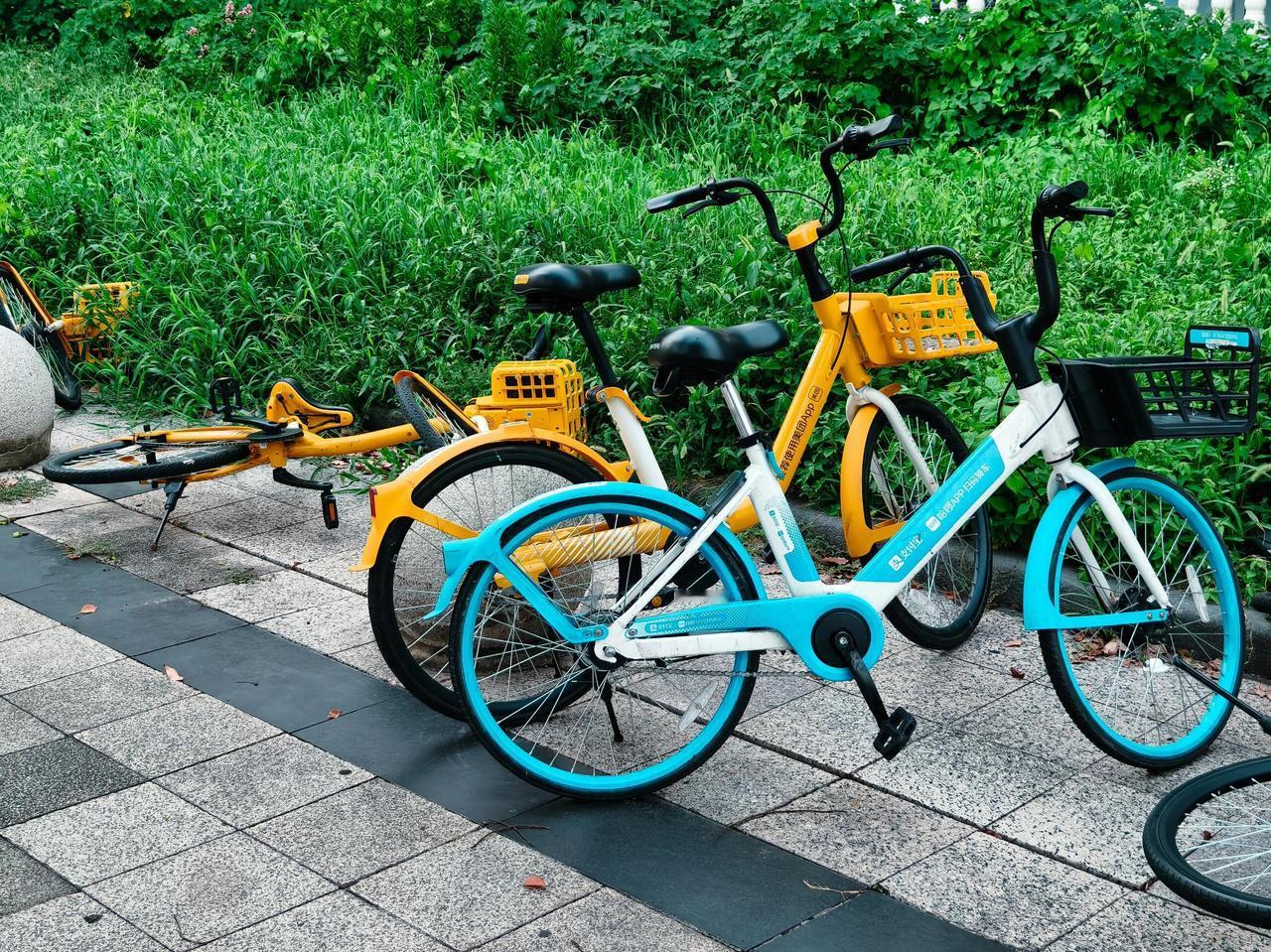 我不知道我这个话题该不该说，我也不知道我这个提醒该不该提醒，很怕触碰到那根敏感的