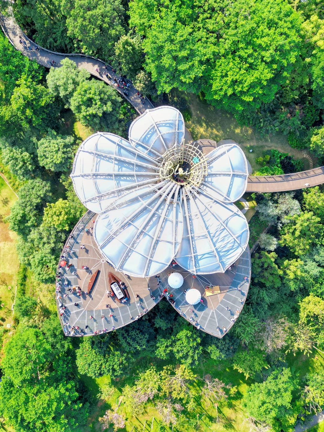 广州新地标❗️白云山脚下木棉花云道🌺巨出片