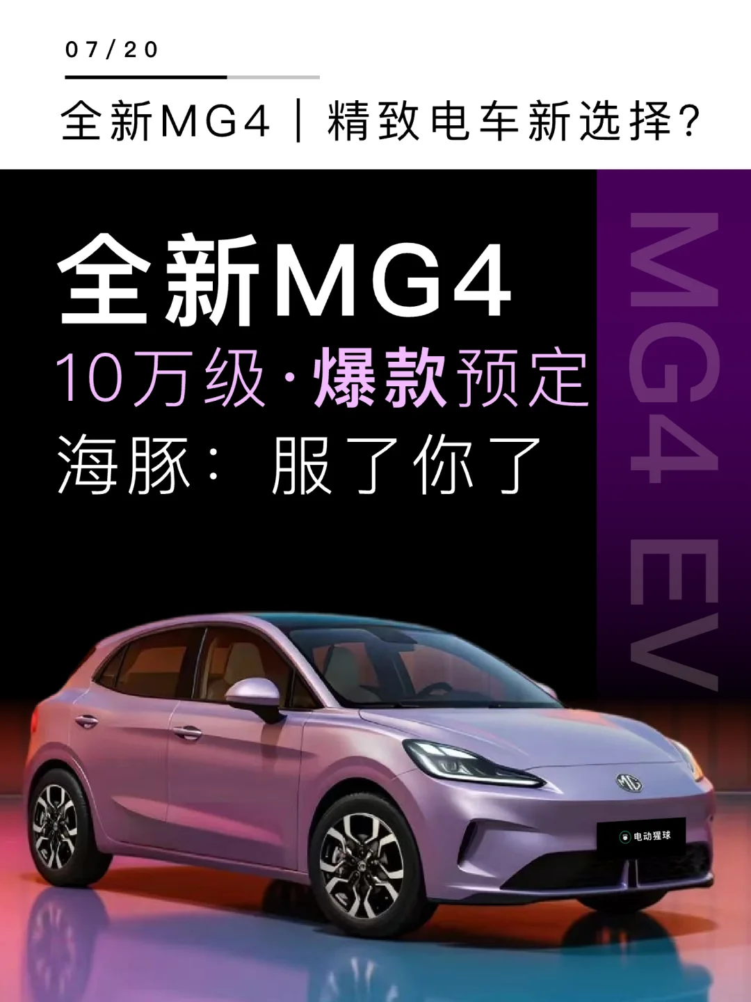 海豚：服了你了