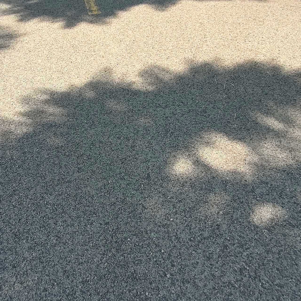 现在这个温度搬两个行李箱跋涉回家，简直是要把我给烤焦了 