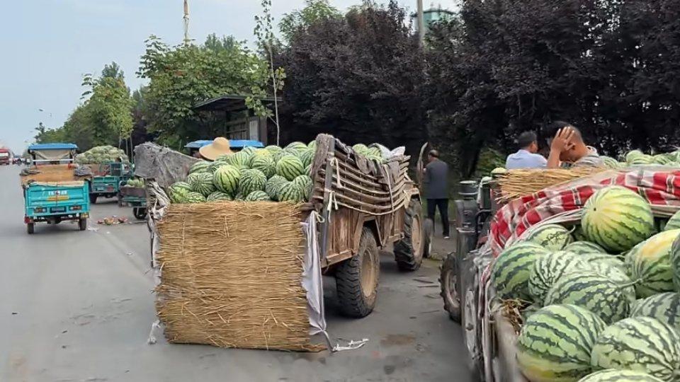 河南瓜农控诉有网红博流量低价收瓜这哪是助农，分明是抢农！顶着“助农”的光环，揣着