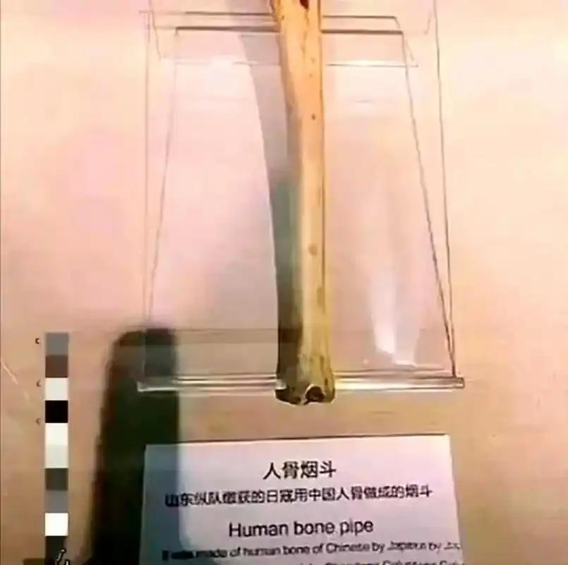 一群人被抓进一座秘密基地，连名字都被剥夺了，只剩一个编号——"马路大"，木头的意