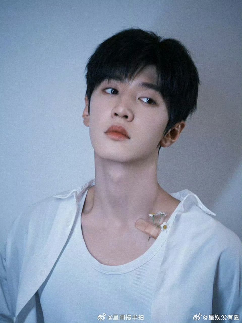 要是陈哲远和王楚然合作这对cp 有人磕嘛？ 