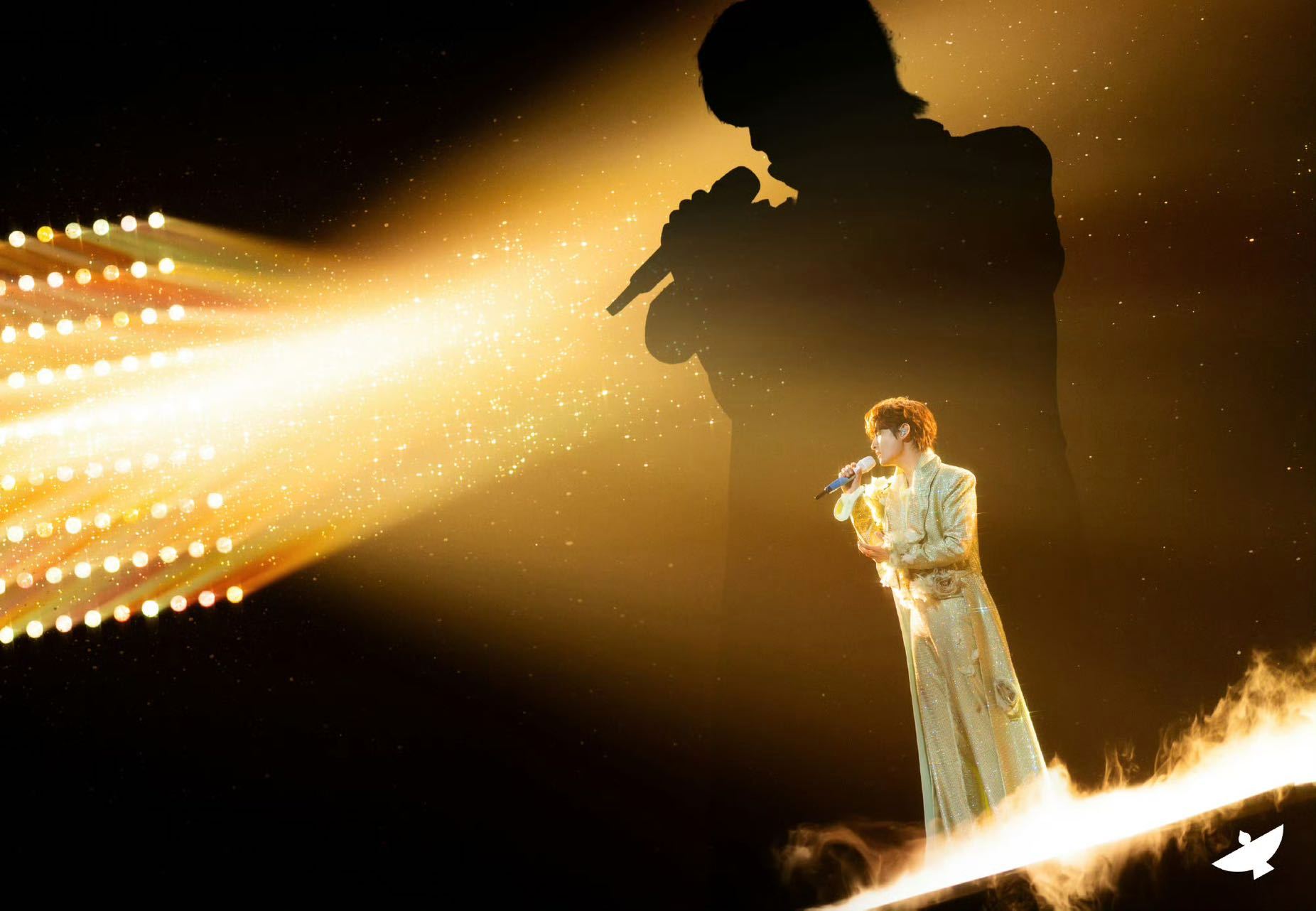 张远演唱会付完钱就把衣服穿上了 评论区那个“付完钱就把衣服穿上了”是谁想出来的，