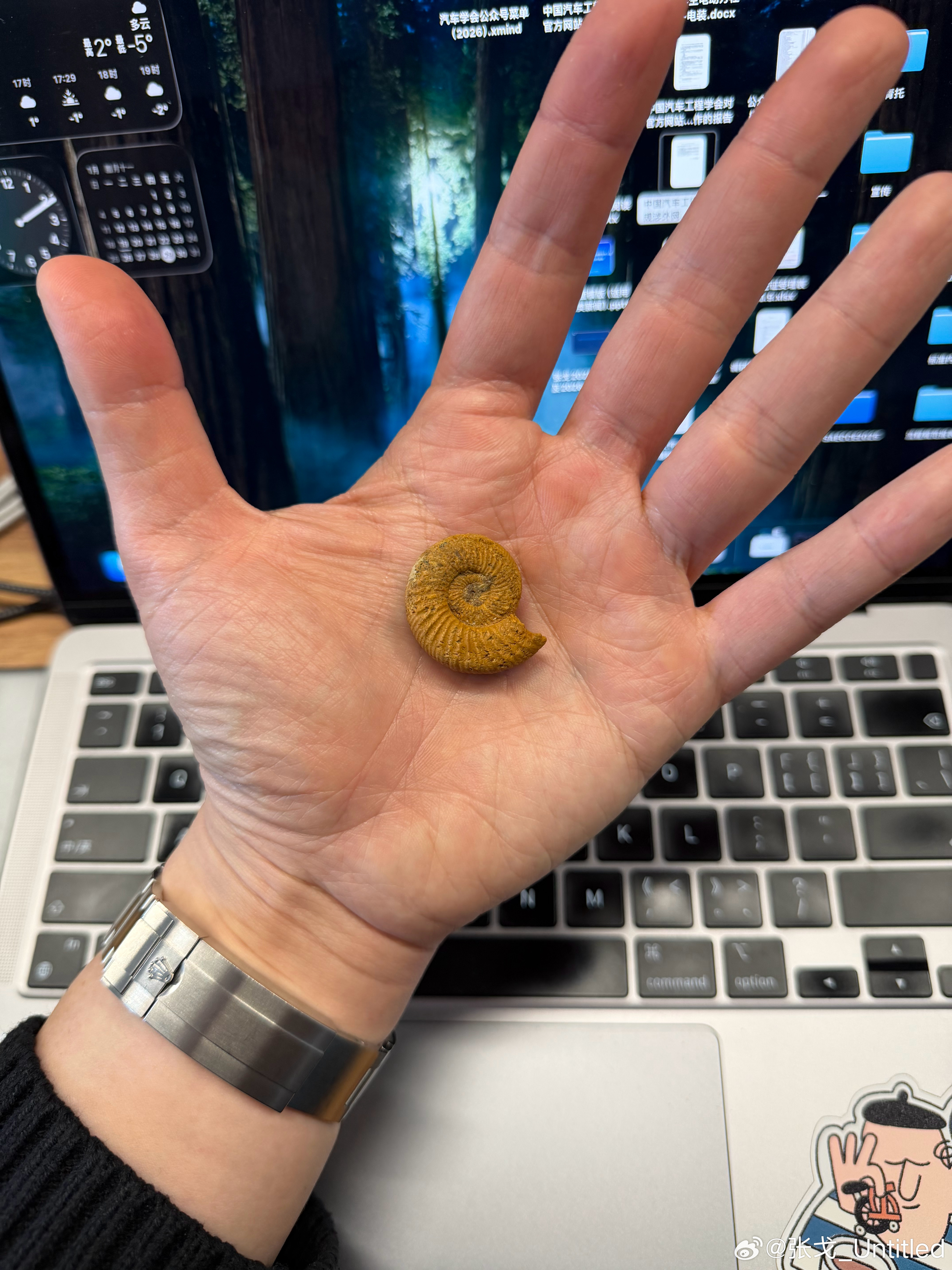 中国男人到了一定的年龄 一定会找个东西盘起来 