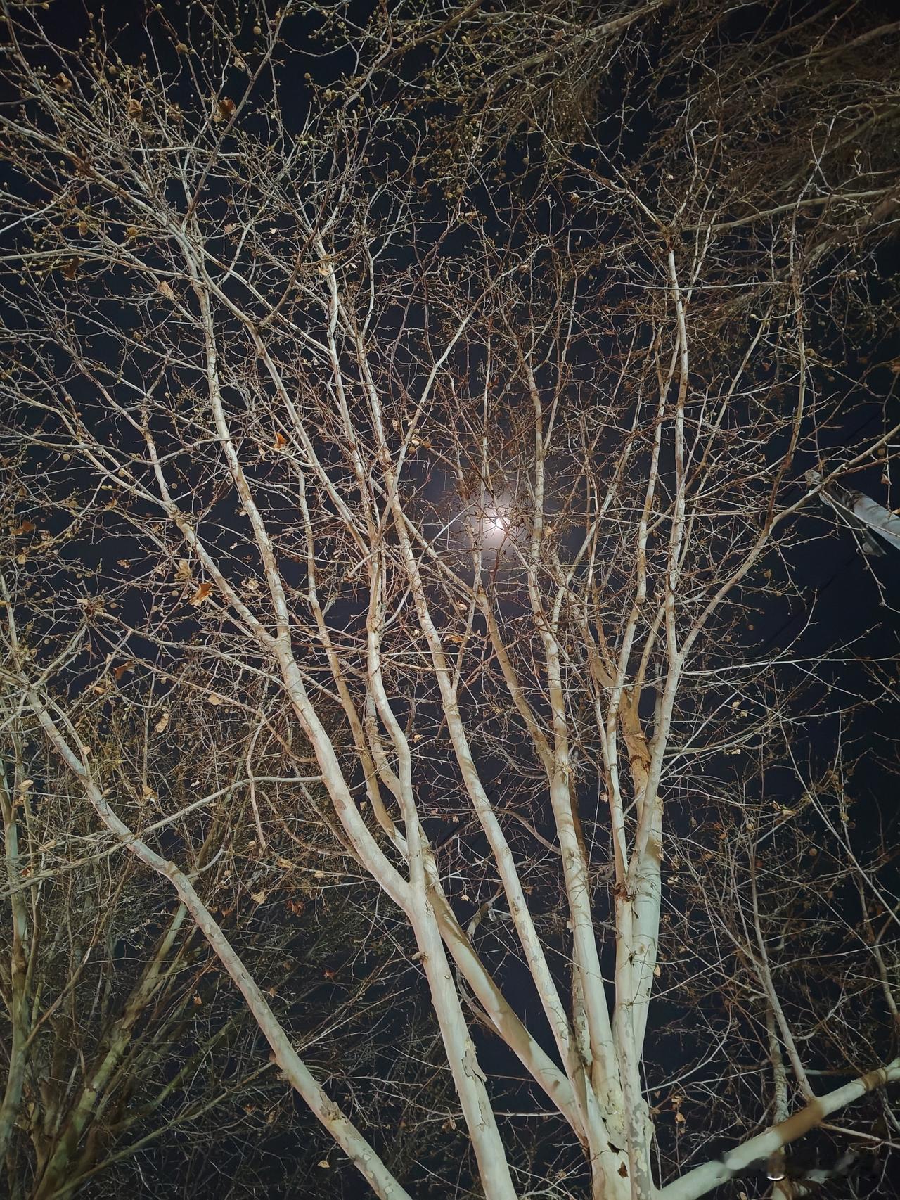 女儿坚决辞退体制内劳务派遣工作，孤身去石家庄闯荡江湖了。

春节前女儿骑电动车摔