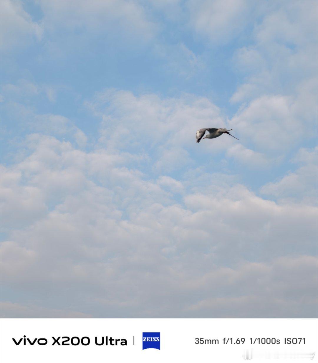 快来看昆明滇池万只海鸥壮观起飞 一到周末海埂大坝便挤满了看海鸥的人群，遛娃看景儿