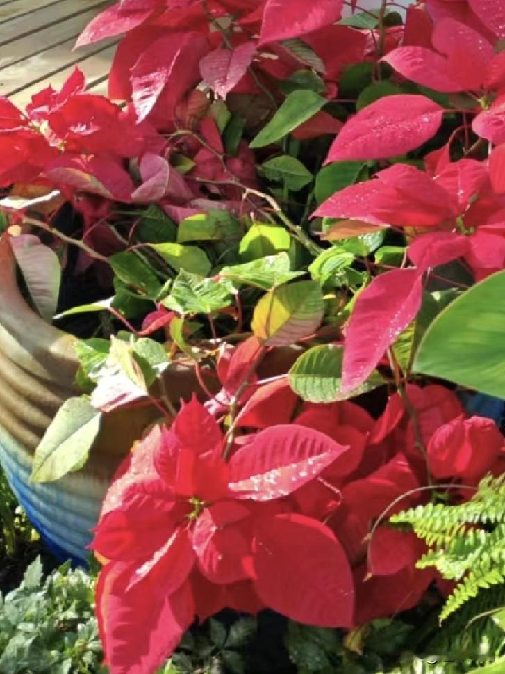 睡前对个对联吧，
动动脑动动手，
来个原创！
[微风][微风]《原创》[微风][