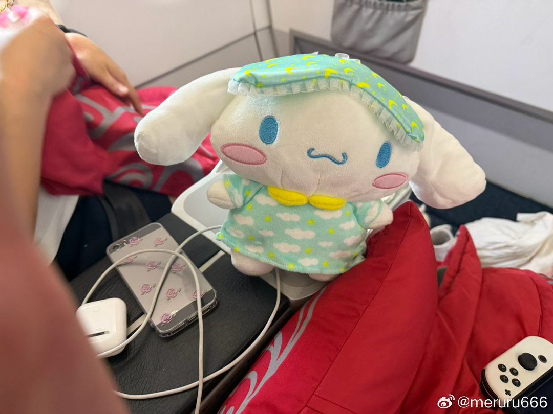 玉桂狗是小胖墩，一直这样很邪恶的卖萌玉桂狗在坐飞机。玉桂狗要把我的手机内存弄爆炸