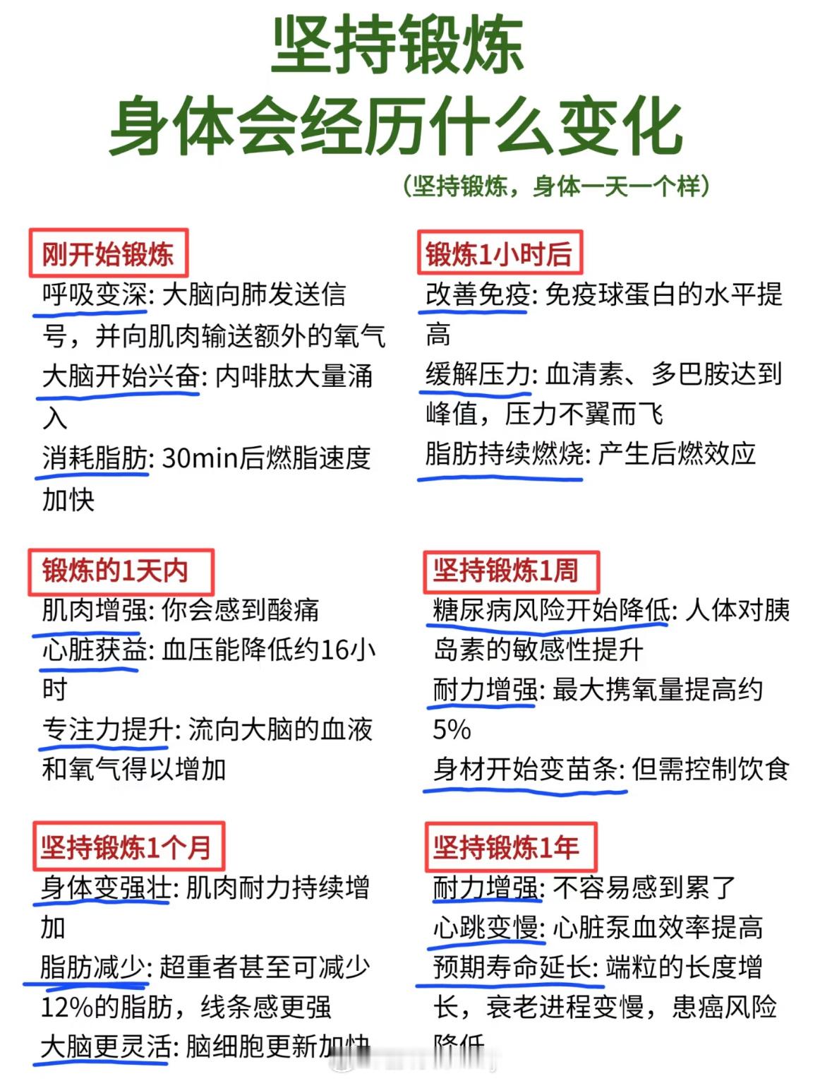 坚持锻炼身体会经历什么变化 