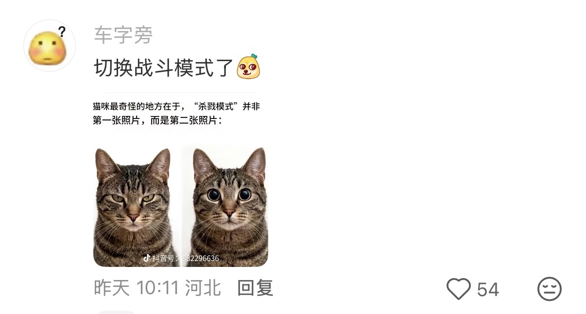 有人问“开推里的丁程鑫眼睛怎么这么大”小丁婆回复“切换战斗模式了”，点开一看真笑