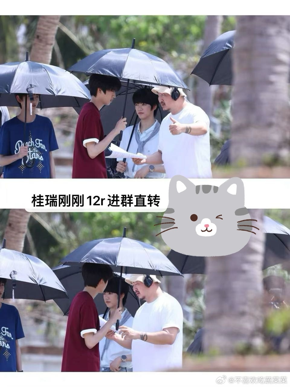 tg 桂恒桂瑞奇文你想要的全都有 