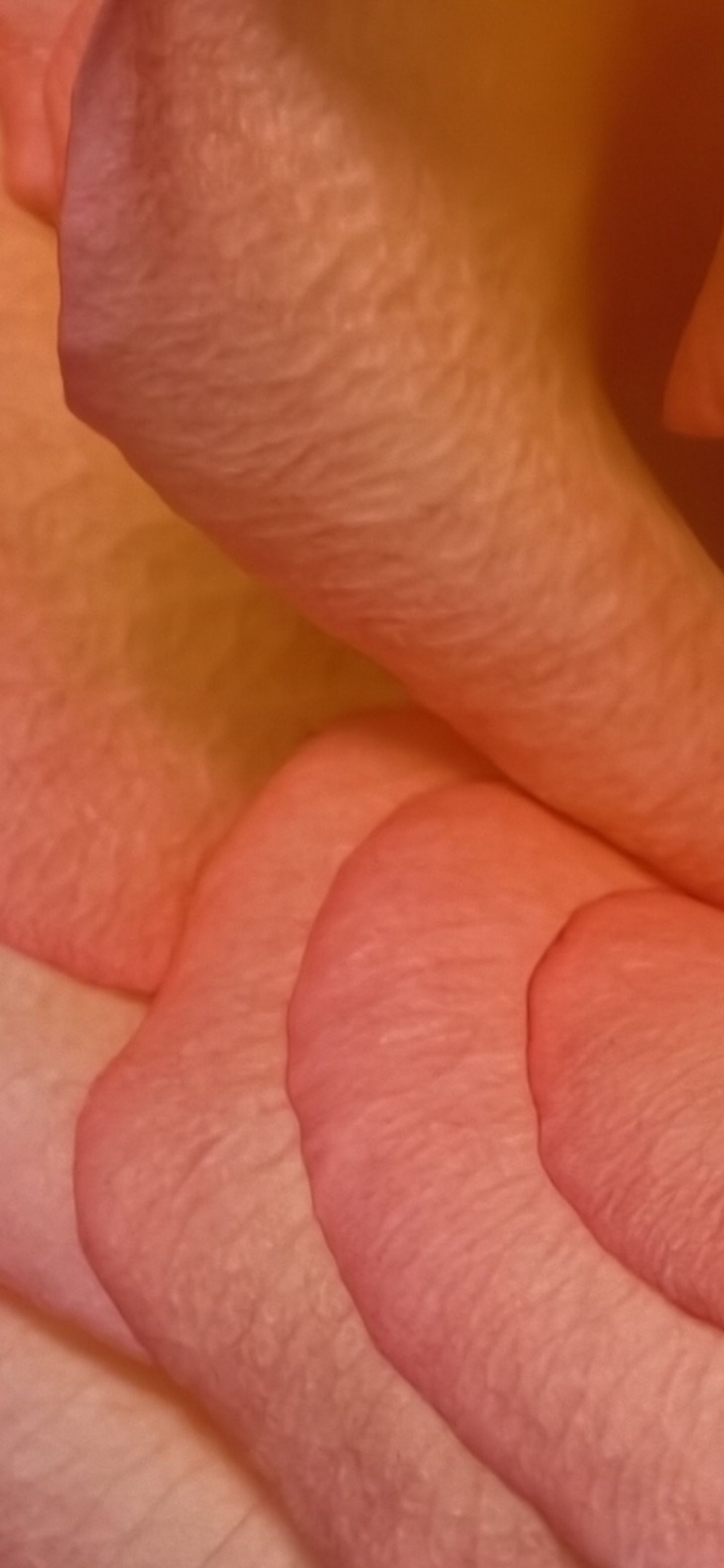 vivo X300 Pro 默认鲜明模式，Vivo X300 Pro 自然模式+