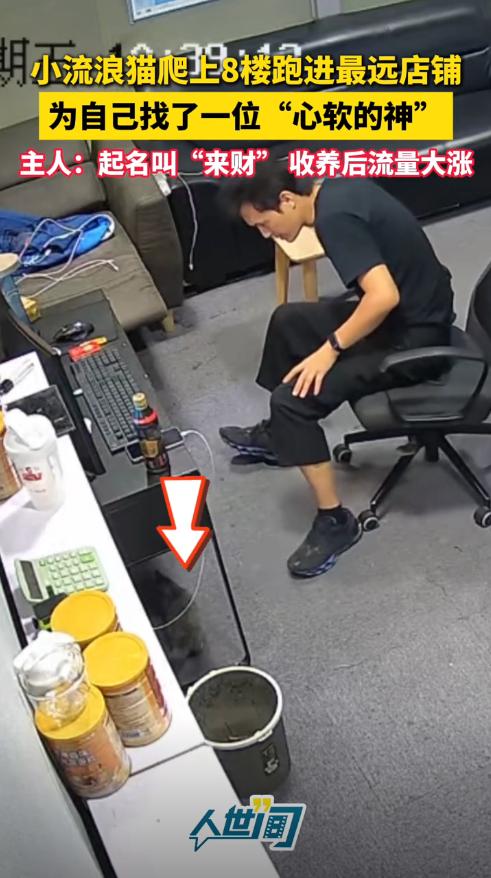 “万物都有灵！”8月15日，重庆，一只眼睛有问题的小猫因为没人要，就自己爬了8层