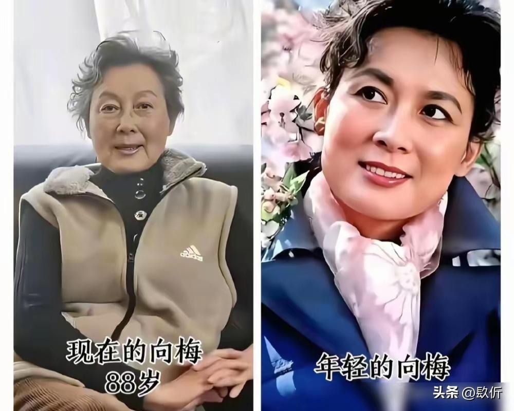 被岁月惊艳！这几位老艺术家年轻时美得不像话，如今89岁依然优雅

都说“岁月从不