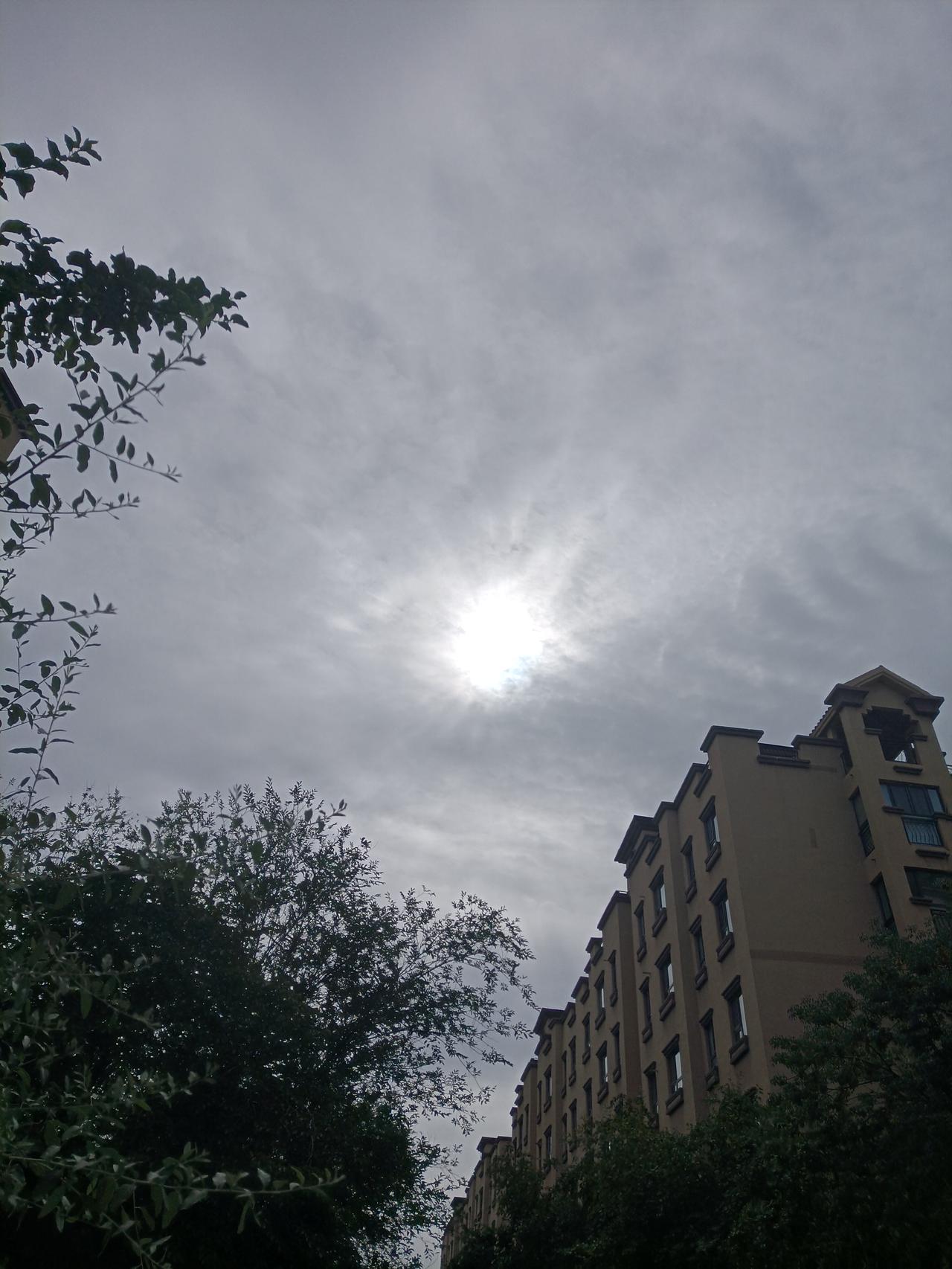 今天终于凉快了下来，半阴半晴的天气，最高气温只有31度，最低气温24度，前几天一