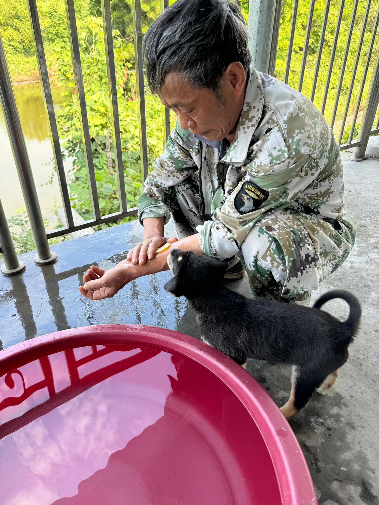 大伯为了给小六处理伤口，却被小六咬伤了，小六脾气很古怪，每次大伯进山归来，小六也