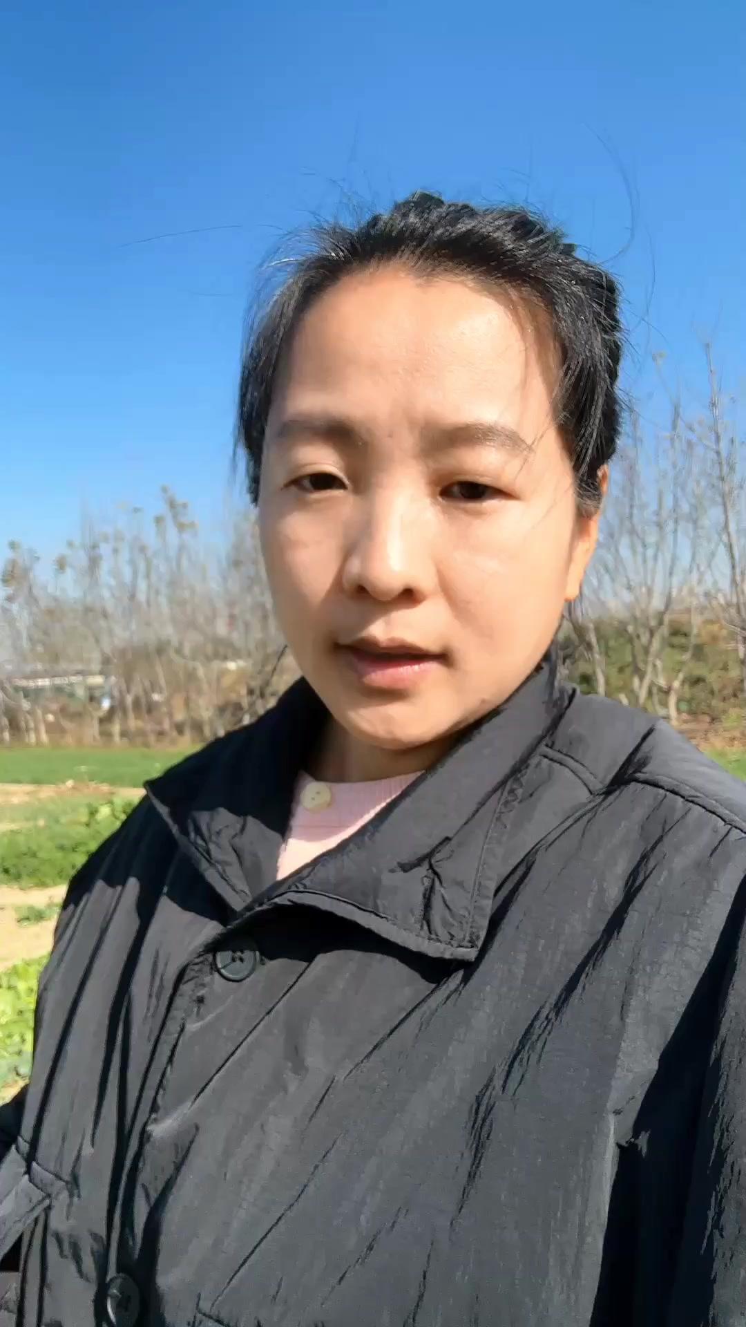 冬季冻不死的蔬菜，你知道几个？🍃冬季豌豆苗：能多茬采收，每次采后仍生长良好，春