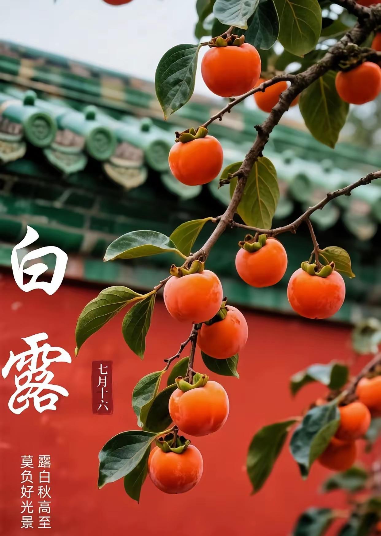 9.7日[燃烧的心][福]早上好[招财进宝][心]
好运随秋到，丰收在秋时，喜乐