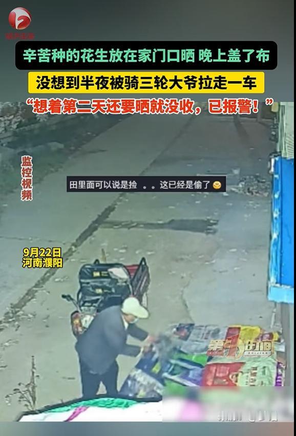 9 月 24 日安徽广播电视台报道，河南濮阳一名女子收获新花生，将花生摊在家门口