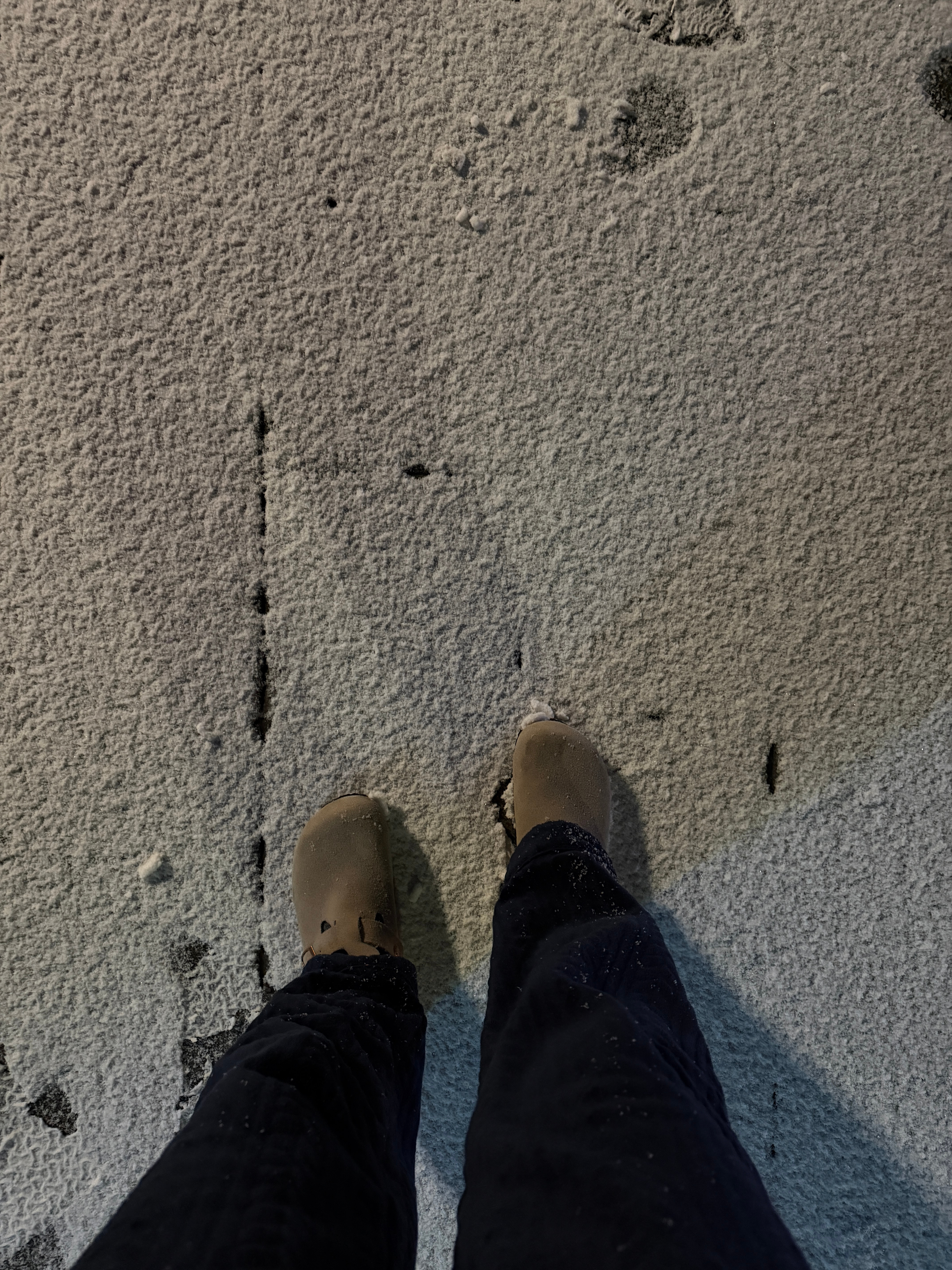 有时候，允许试错是比“为你好”更有意义的成全。好梦~~~ 