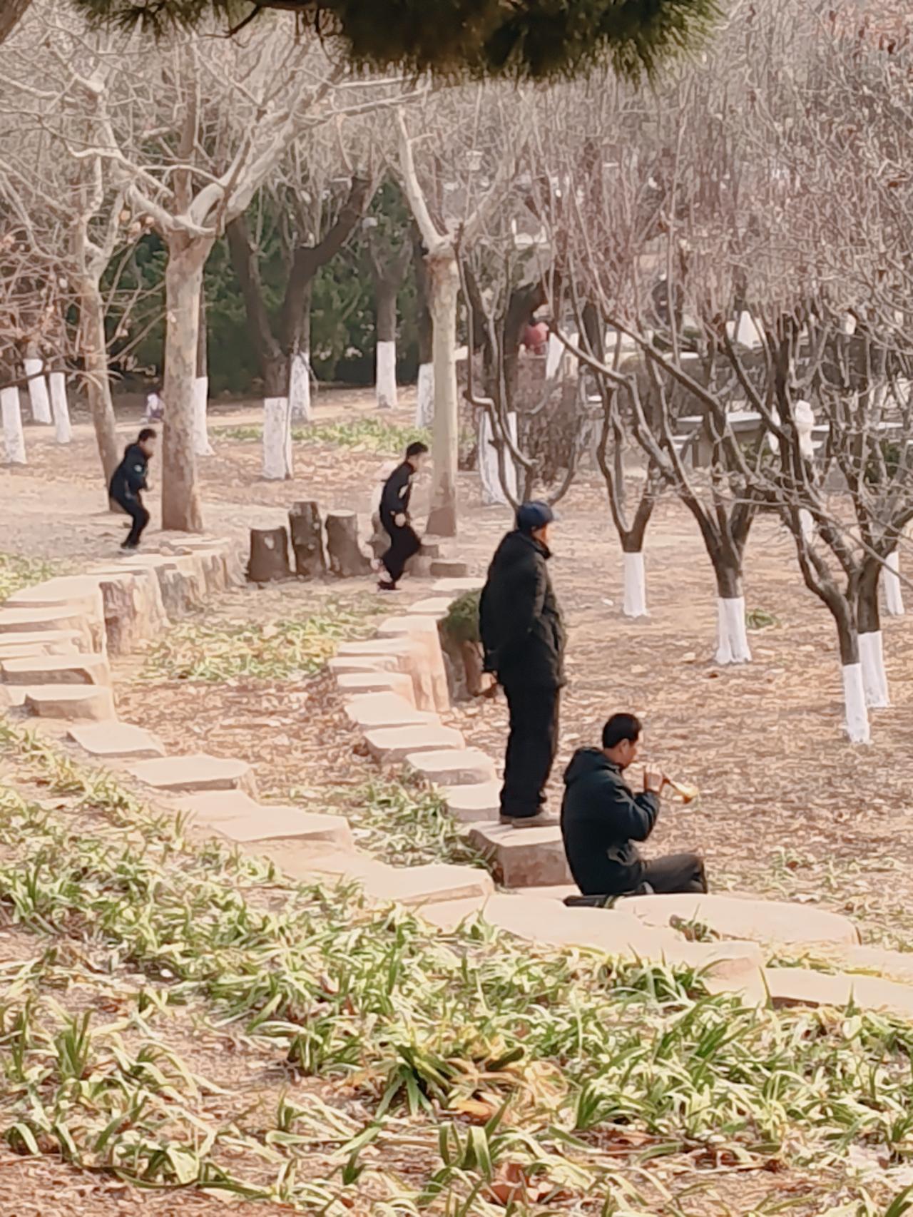 城市里的“森林”
      如果仅从绿化和景观的角度，城市中心的山水树木花草当
