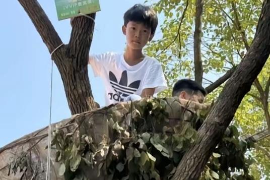 所谓重点班，相比普通班，在教学内容上更新颖深奥，节奏更快，小侄女就因为难以消化，