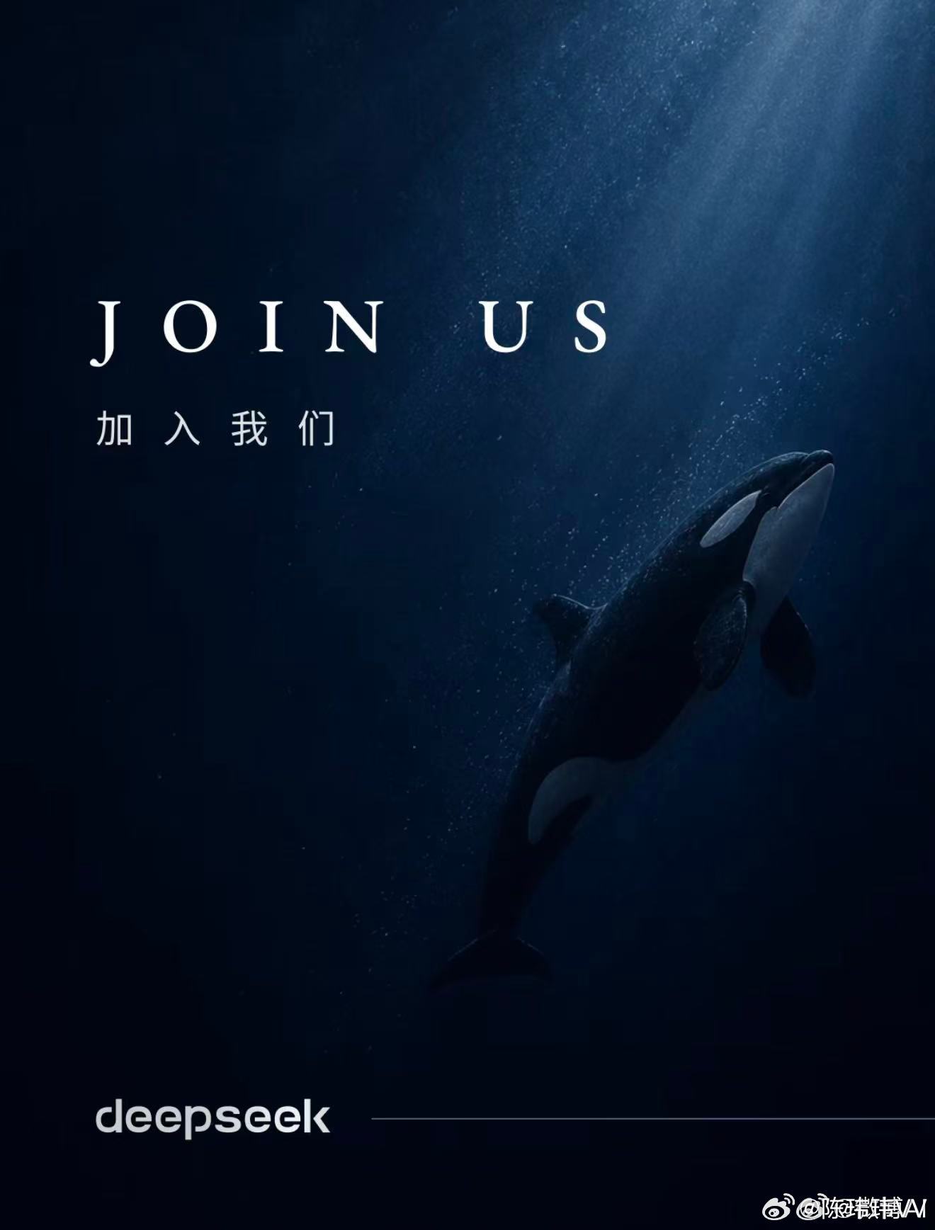 deepseek为何大规模招人 这明显释放了一个信号吖～要变成一家“做产品”的公