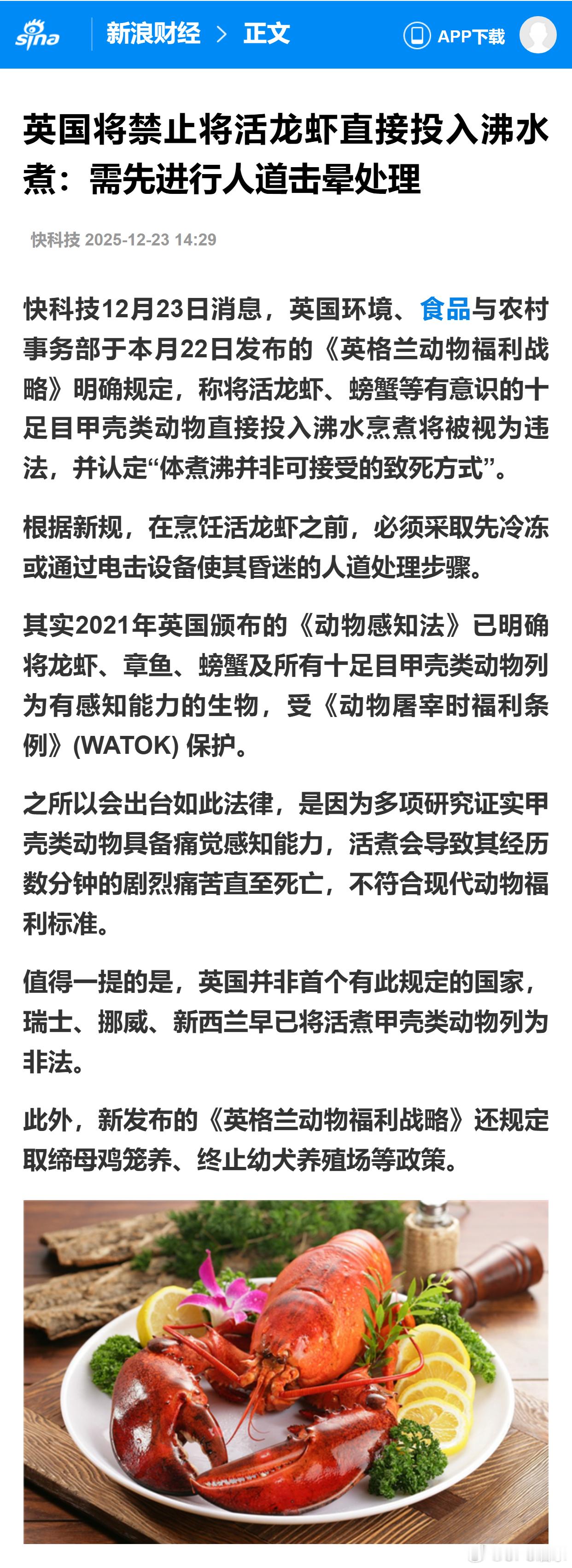 英国将禁止将活龙虾直接投入沸水煮：需先进行人道击晕处理 