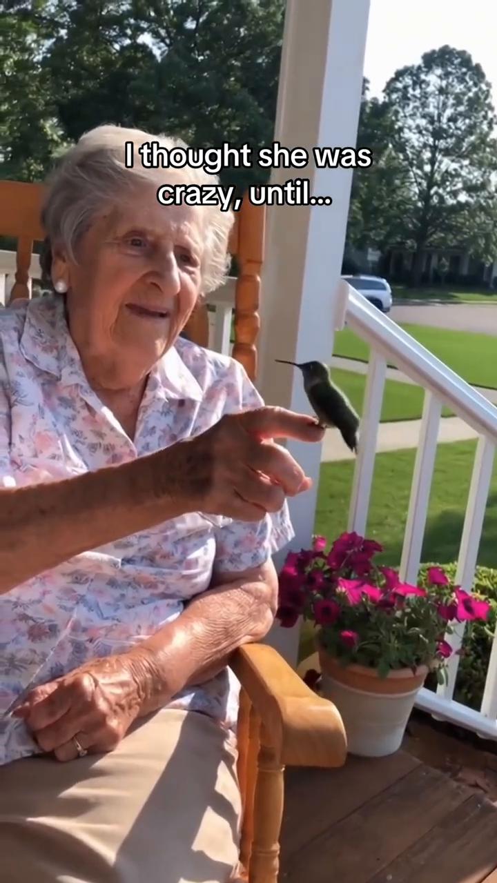 Hummingbird ask my mom for help...I thou