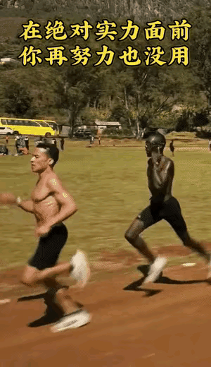 努力在天赋面前一点用也没有啊[笑哭]