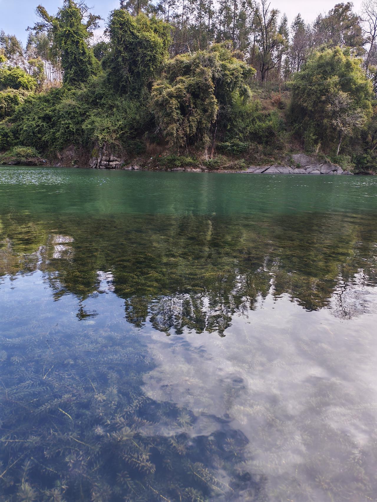 春日漫游漓江：醉在这一汪碧水里
这大概就是春日里最治愈的底色吧！🌿
站在漓江边