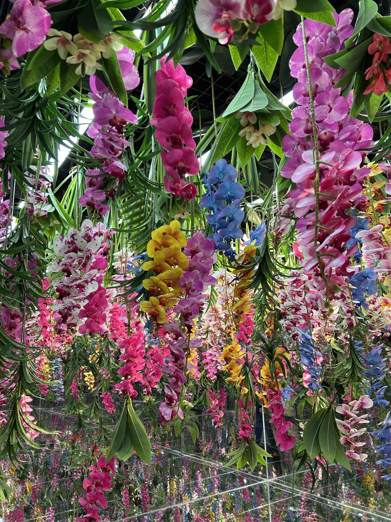 分享一张你相册的拍的花