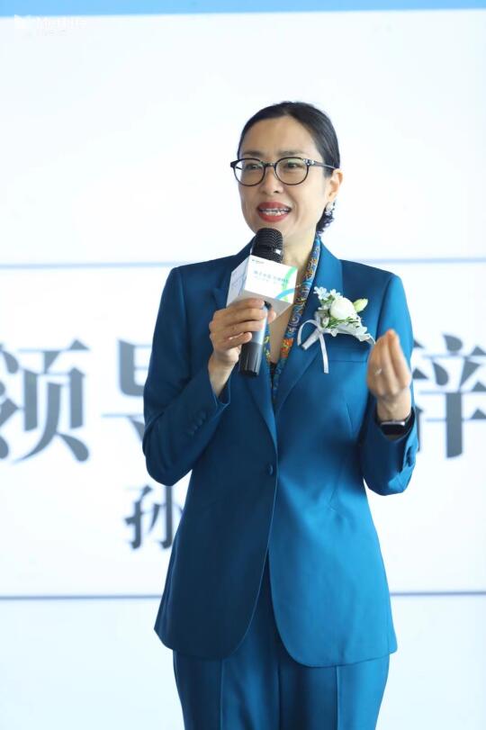 MetLife 高智老钱风CEO