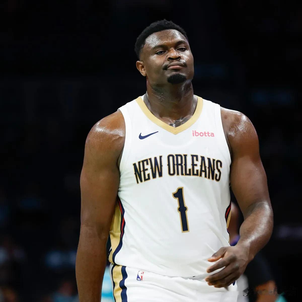 锡安·威廉姆森本月：

23.2 场均得分
7.4 篮板
4.7 助攻
1.2 