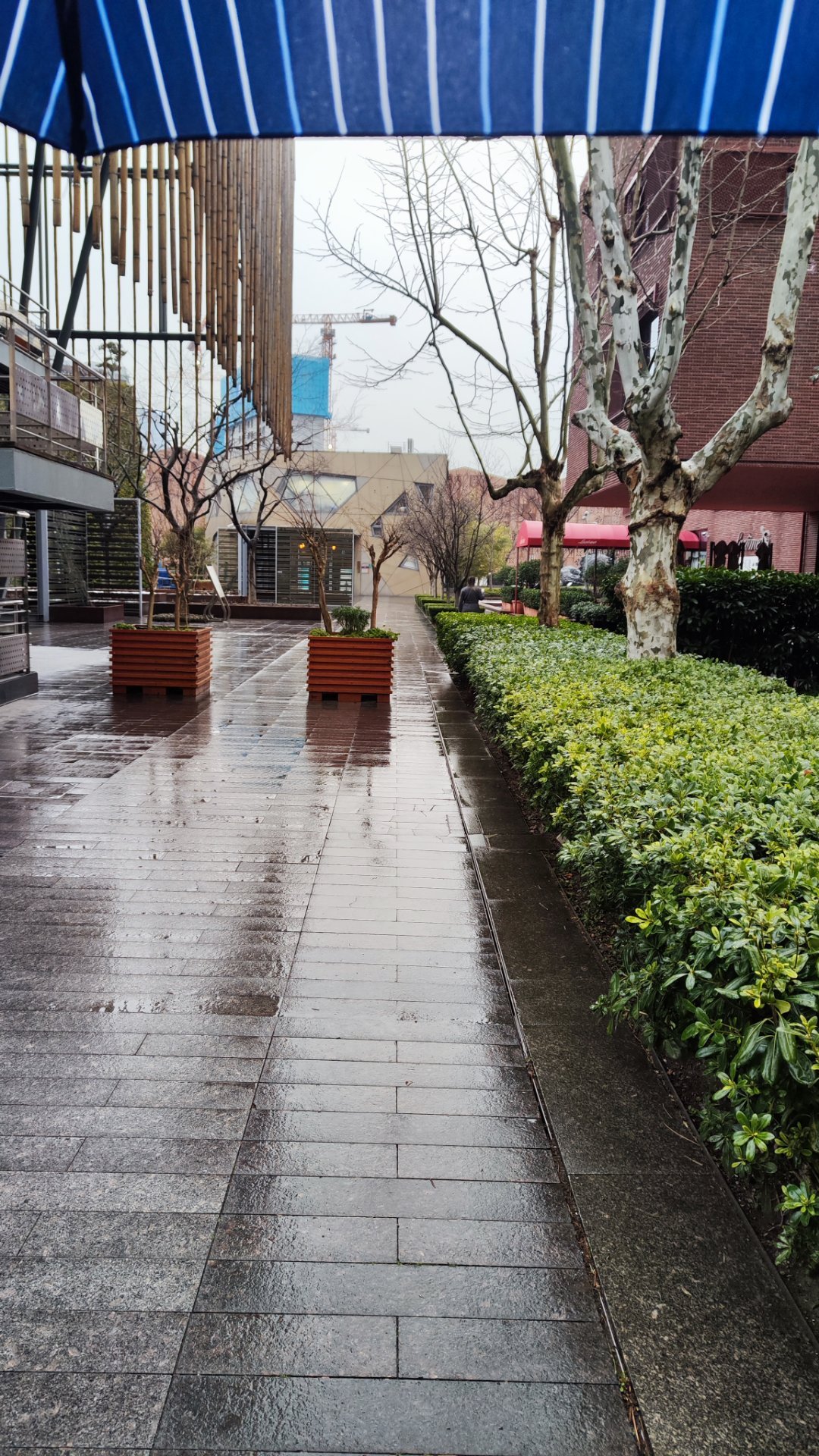 雨天，等一个人下班祝大家情人节快乐。一个人也好，两个人也罢。都要爱自己，要开心 