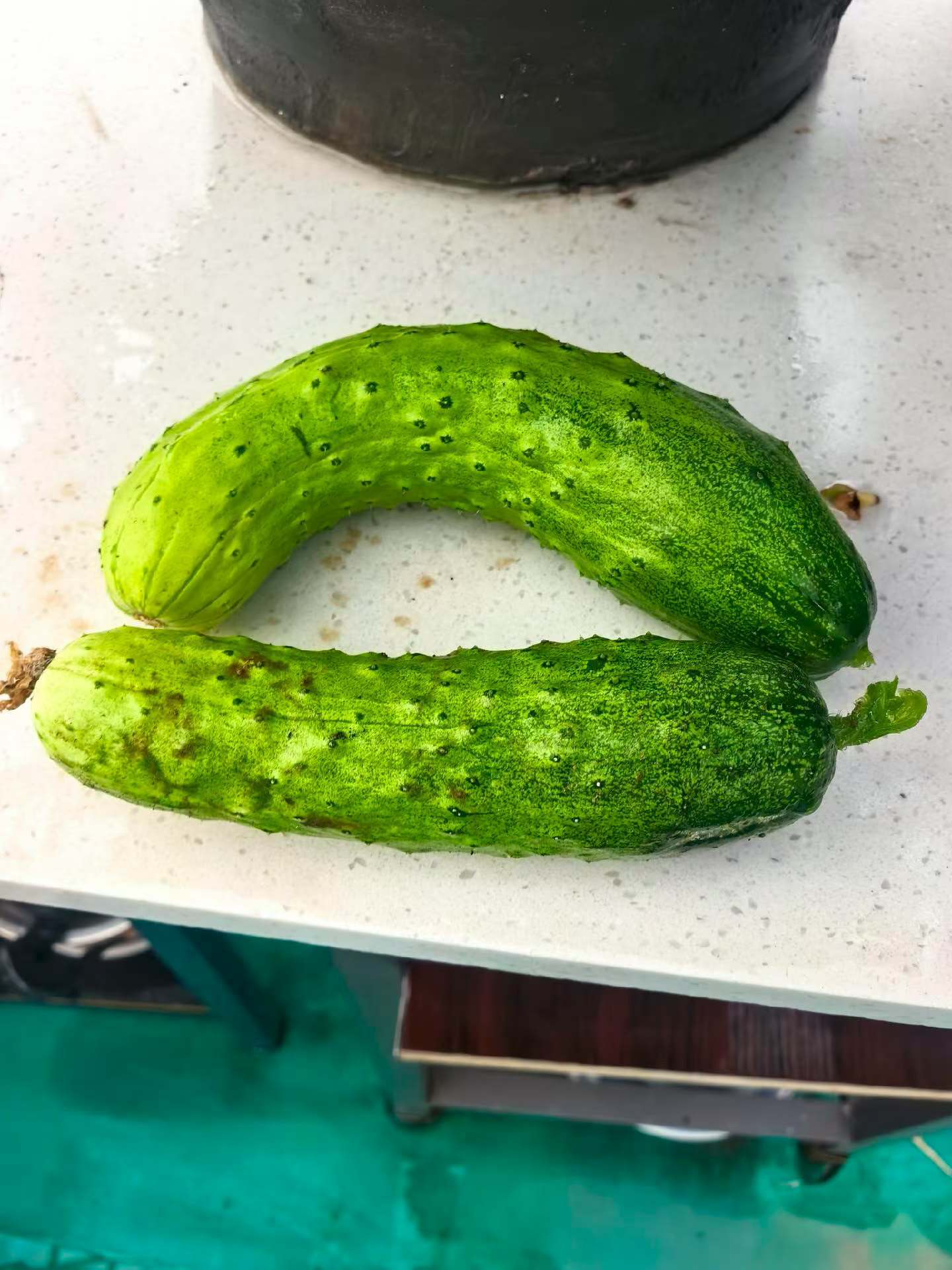 去邻居家小菜园的收获，多水灵 
