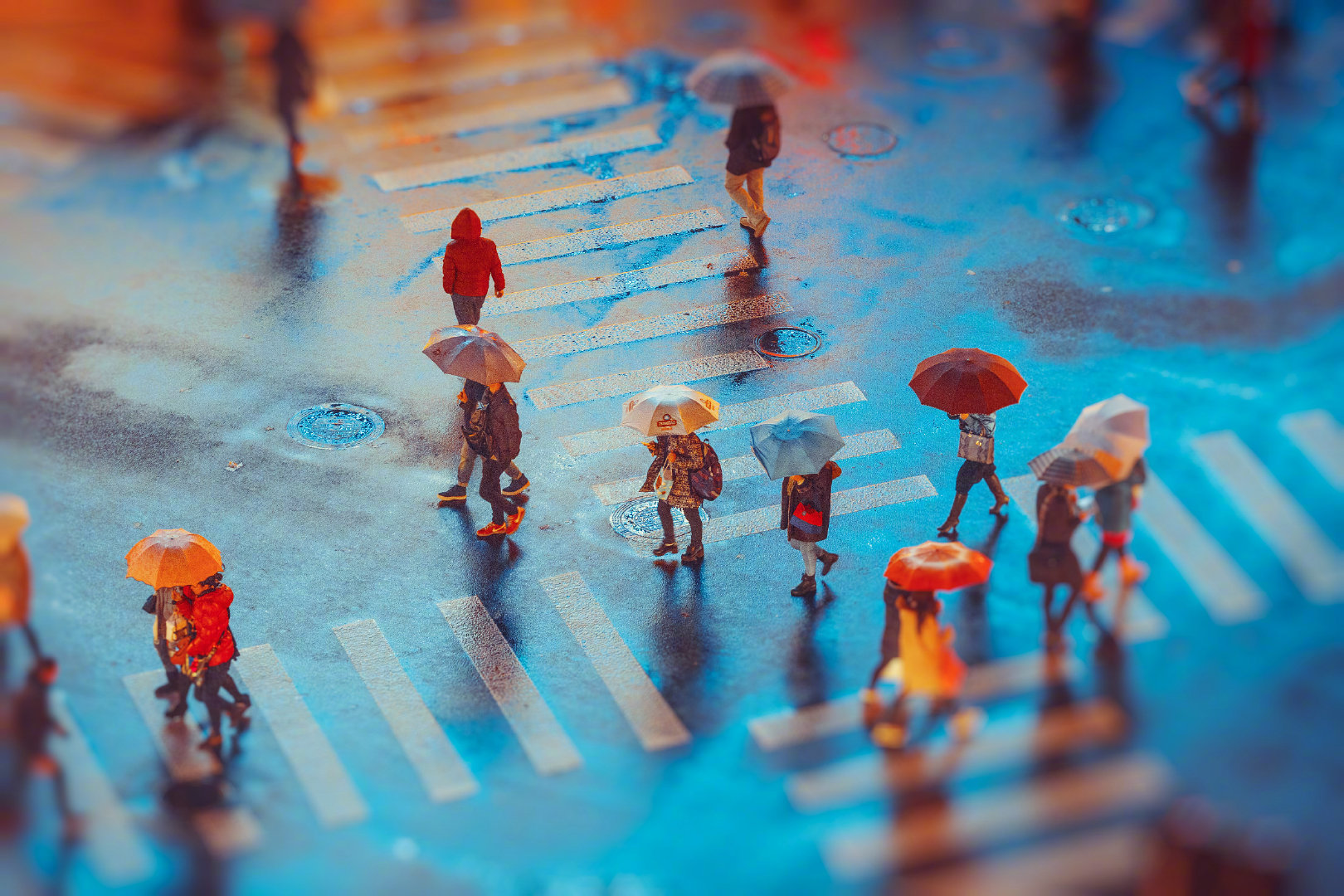 一朵昙花只开三小时，但人人记得它的；一片野花开了一生，却没有人知道它们。宁可做清