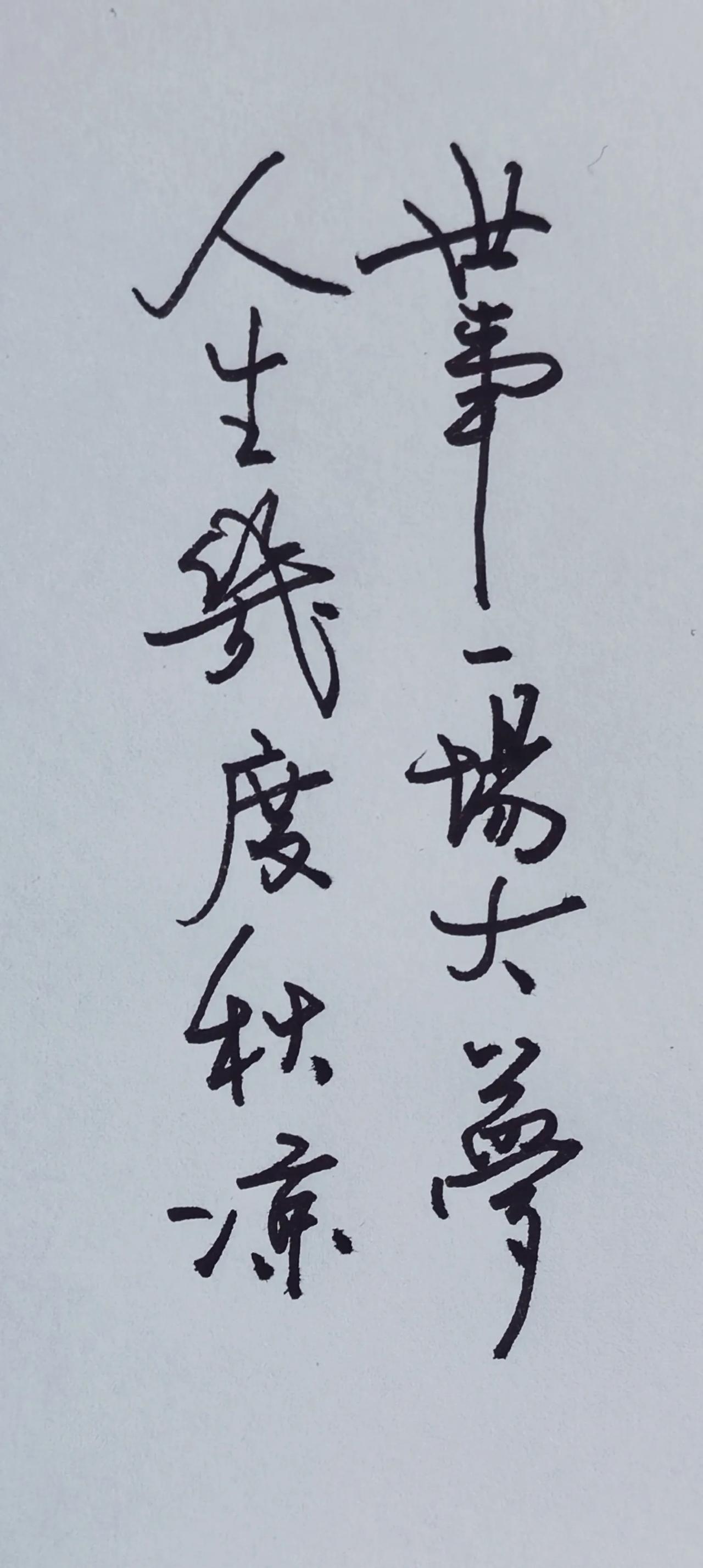 硬笔行草，线条简练洒脱，两列排布疏密均衡，笔意带沧桑感，契合句子的人生感慨。
释