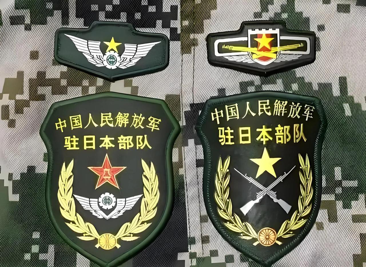 我想去日本玩几天，但是我不想出国，所以同志们摆脱了！注，图片里的臂章是日本军迷制